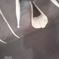 دو. عدد کناری هر عدد یک ملیون و پانصد|پشتی|کارون, |دیوار