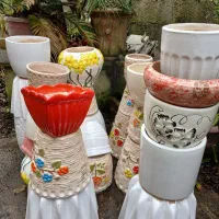 گلدان های سفالی سالم|گل و گیاه طبیعی|لاهیجان, کوی خزر|دیوار