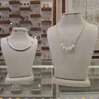 مانکن و استند طلا نقره بدل