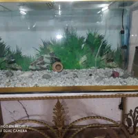 آکواریوم با پایه فرفوژه