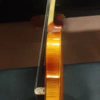 ویولن|ویولن|زاهدان, |دیوار