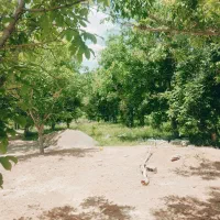 فروش-ملک-مسکونی