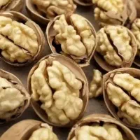 مغز سفید امسال پوست کاغذی تویسرکان|خوردنی و آشامیدنی|تهران, چیتگر جنوبی|دیوار