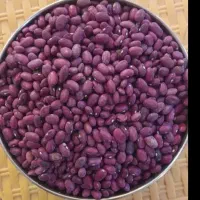 لوبیا چیتی و قرمز|خوردنی و آشامیدنی|تهران, قصر فیروزه ۱|دیوار