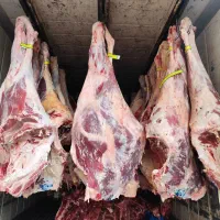 لاشه کامل گوساله بی خص شده کیلویی ۸۴۰|خوردنی و آشامیدنی|کرج, عظیمیه|دیوار