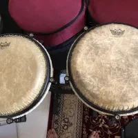 تراول کونگا کوبکا