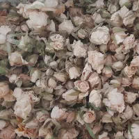 گل خشک رز|عمدهفروشی|محلات, |دیوار