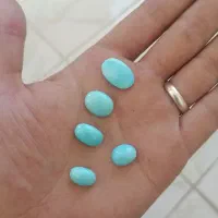 فیروزه عجمی نیشابوری