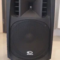 باند اکتیو چرمن CHARMAN W18A