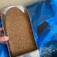 فروش نسکافه گلد و کلاسیک