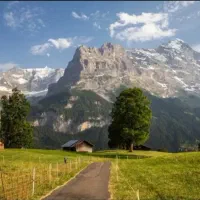 کوهنوردی پیاده روی