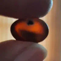 نگین|جواهرات|کرمان, |دیوار