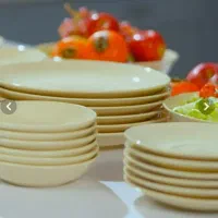 ظروف ۴۲ پارچه استنور ، رنگ نخودی ، نو و آکبند