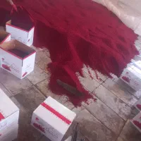 مرکز خرید و فروش زرشک باعزم