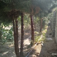 باغ چهار دیواری با شرایط شما در جاهای با صفا|فروش زمین و ملک کلنگی|اصفهان, بوستان ناژوان|دیوار