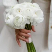 آموزش رقص(عروس تانگو ایرانی ساقدوش چاقو)