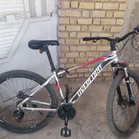 دوچرخه سایز 29 OVERLORD