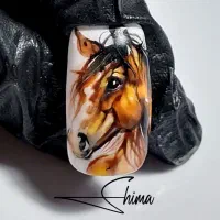 آموزش|خدمات آموزشی|قزوین, |دیوار