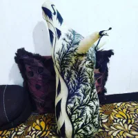 نی انبان طرحدار حرفه ای|سازهای بادی|بوشهر, |دیوار