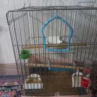 قفس بزرگ با وسایل