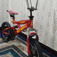 دوچرخه رالی کمک دار