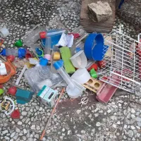 تعداد لانه عروس و قفس به همراه آب خوری|لوازم جانبی حیوانات|رستم‌آباد, |دیوار