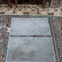 پادری
