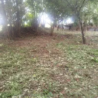 چمن زنی و علف زنی|خدمات باغبانی و درختکاری|کوچصفهان, |دیوار