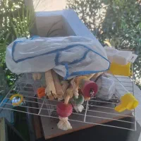 قفس بزرگ با لوازم جانبی|لوازم جانبی حیوانات|چابکسر, |دیوار