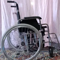 ویلچر نو داخل کارتون هست