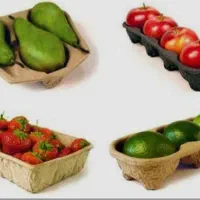 استخدام خانم برای بسته بندی و نظافت