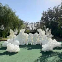 دکور تعیین جنسیت بادکنک آرایی|خدمات پذیرایی، مراسم|اصفهان, ارغوانیه|دیوار