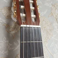 گیتار|گیتار، بیس، امپلیفایر|گنبد کاووس, |دیوار