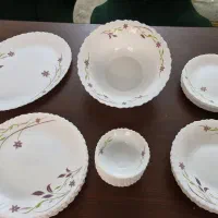 آرکوپال امارات