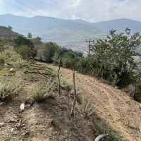 زمین تیلم دراسله بر اصلی جاده سرمایه گذاری|فروش زمین و ملک کلنگی|آلاشت, |دیوار