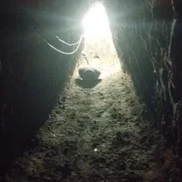 چاه کن|خدمات پیشه و مهارت|شیروان (خراسان), |دیوار