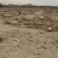 زمین-با-سند-تک-سبز-رنگ
