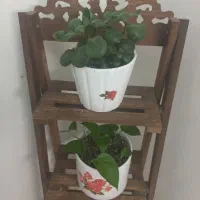 چهارعددگل وگلدون طبیعی بااستند|گل و گیاه طبیعی|تهران, خلیج فارس|دیوار