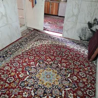سوییت