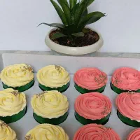 دسر،کاپکیک،چیز کیک،ژله|خوردنی و آشامیدنی|بومهن, |دیوار