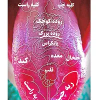 تشخیص بیماری ها فقط از روی عکس زبان بصورت ناشتا|خدمات آرایشگری و زیبایی|زابل, |دیوار