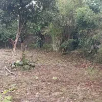 زمین مسکونی صددرصد