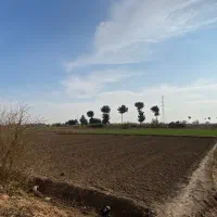 7-هکتار-زمین-کشاورزی-کمربندی-دوم-تهران