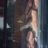 بخاری نیک کالا شومینه|بخاری، هیتر، شومینه|اقلید, |دیوار