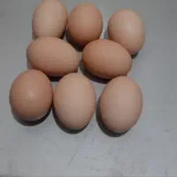 تخم مرغ رسمی