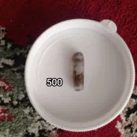 نگین|کلکسیون اشیاء عتیقه|زاهدان, |دیوار