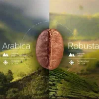 بازاریاب قهوه