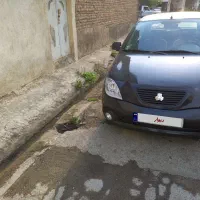 تیبا صندوقدار SX، مدل ۱۳۹۳