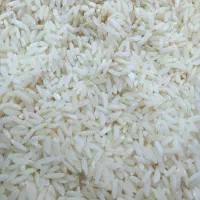 برنج محلی به شرط پخت