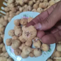 فروش انجیر استهبان لوکس بار امسال